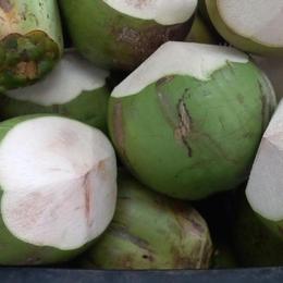 Green Tender Coconut